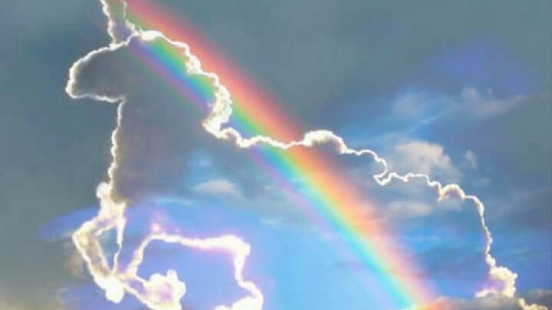 amazing-rainbow-tumblr-unicorn-Favim.com-4547826
