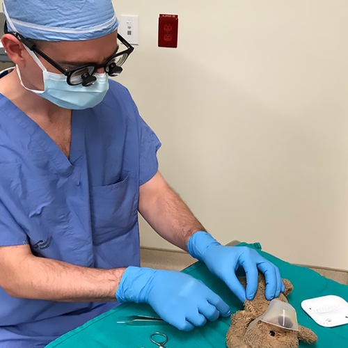Neurochirurg opereert teddybeer voor ziek jongetje