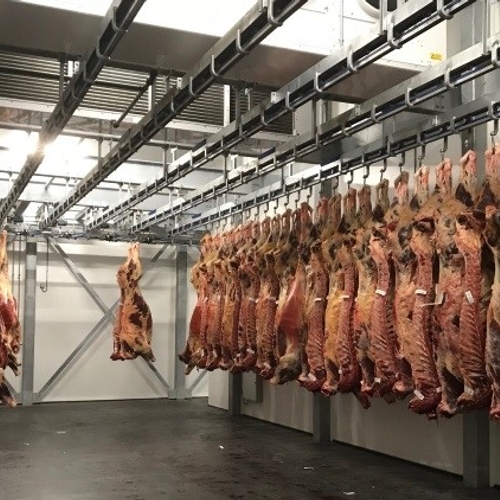 Slachthuis martelt varkens voor zo’n €1500
