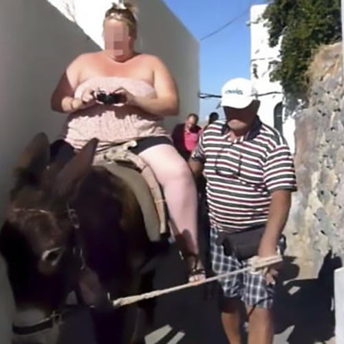 Dikke toeristen mogen niet op ezels rijden